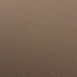 Meet your Posher, Bailey